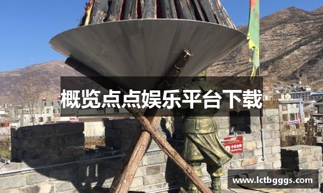 概览点点娱乐平台下载